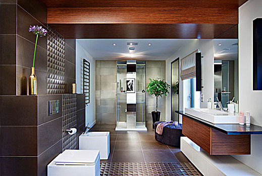 优雅,设计师,浴室,风情,盥洗盆,器具,墙壁,淋浴,区域