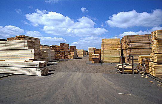 木材业
