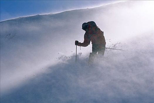 高山滑雪,动作,瑞典