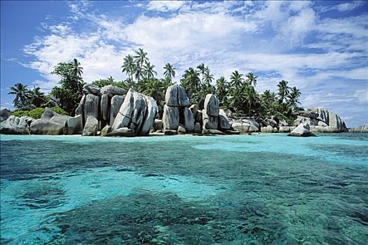 花冈岩,岛屿,椰树,独特,自然风光,塞舌尔,印度洋
