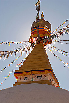 圣骨冢,佛塔,博达哈大佛塔,廷布,不丹