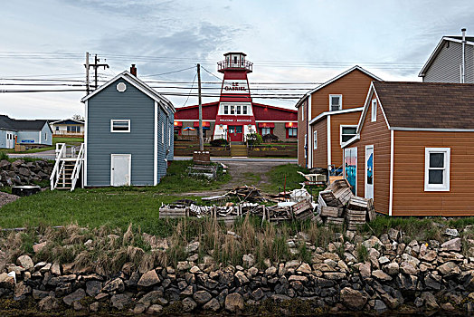 房子,渔村,小路,布雷顿角岛,新斯科舍省,加拿大