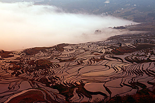 云南元阳梯田