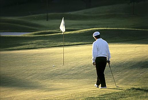后视图,一个,男人,站立,高尔夫球场