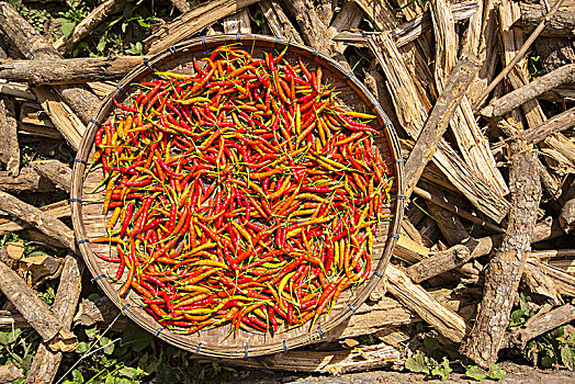 红辣椒,靠近,琅勃拉邦,老挝