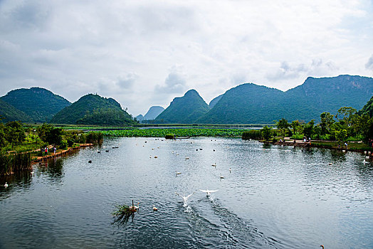 云南省文山州丘北县普者黑景区