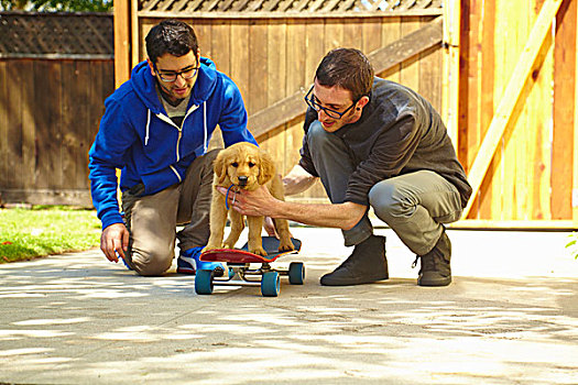 两个,年轻,男人,帮助,拉布拉多犬,小狗,滑板