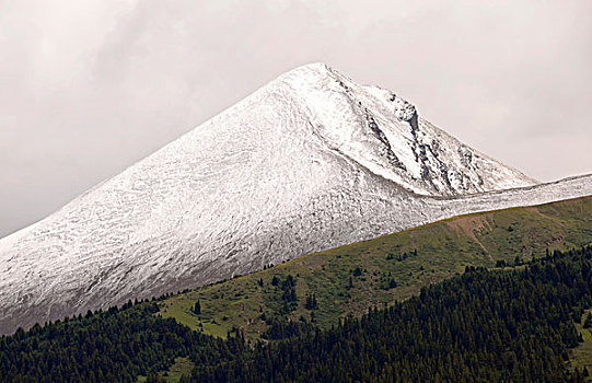 雪,顶峰,山,山谷,碧玉国家公园,加拿大洛基山脉,艾伯塔省,加拿大