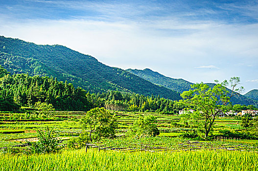 山岭秋色