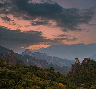 奇峰劲松三清山