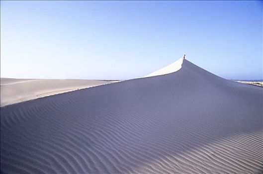 白沙,沙丘,沙漠,人,上面,远景,蓝天