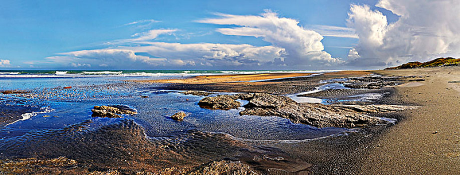 沙滩,石头,退潮,海滩,塔斯曼海,北岛,新西兰,大洋洲