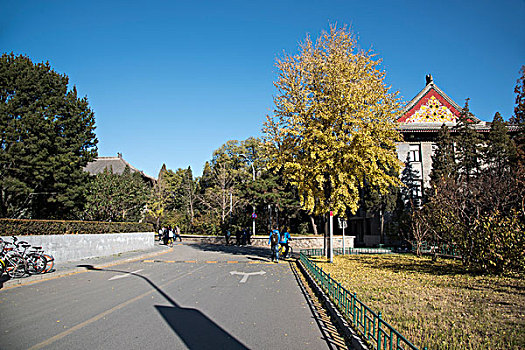 北京大学