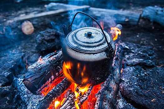 煮沸,水,锅,上方,明火,堪察加半岛,俄罗斯,欧洲