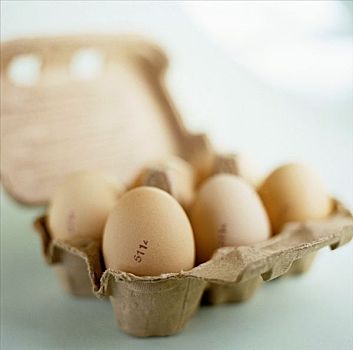 蛋,鸡蛋格