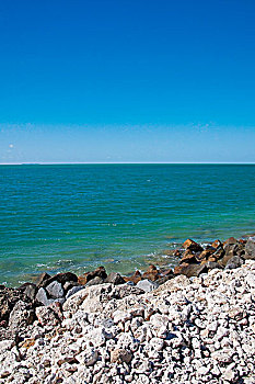 石头,海滩,基韦斯特,佛罗里达,美国