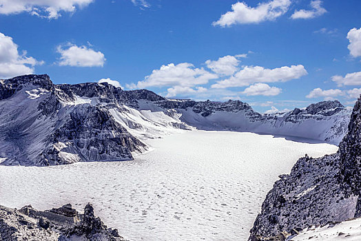 乡野,树林,农场,黑龙江,东北方,中国,亚洲西伯利亚虎,东北虎,冬天