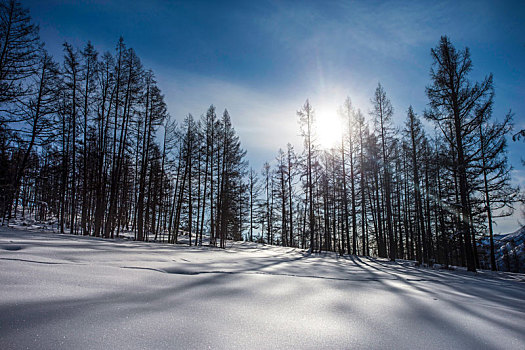 新疆禾木村雪景风光