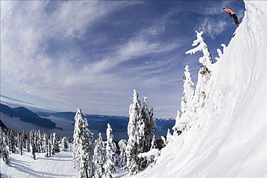 男人,滑雪,柏树,山,温哥华,不列颠哥伦比亚省,加拿大