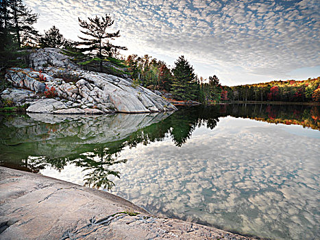 石头,秋天,树,岸边,乔治湖,漂亮,自然风光,基拉尼省立公园,安大略省,加拿大