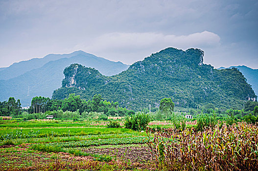 美丽田园