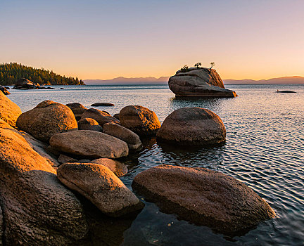 盆景,石头,小,树,水,日落,太浩湖,加利福尼亚,美国,北美
