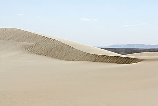 沙丘,沙子,绿洲,巴哈利亚,西部沙漠,埃及,非洲