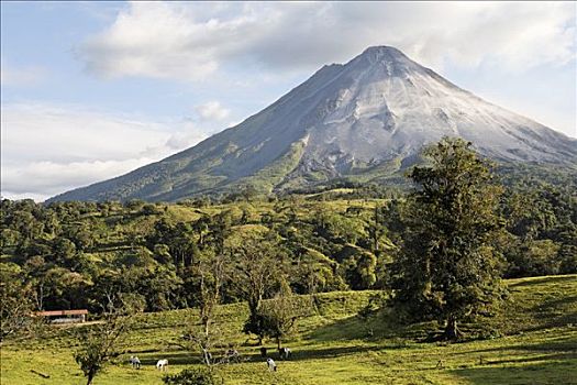 活火山,阿雷纳尔,靠近,哥斯达黎加