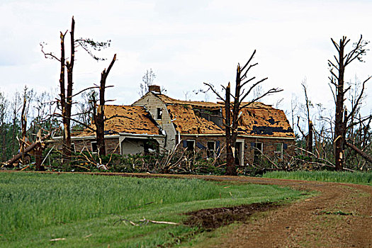 房子,树,损坏,龙卷风,石灰石,阿拉巴马,美国