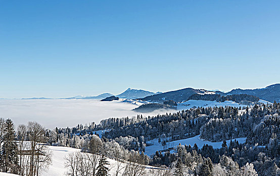 风景,冬季风景,山景,高处,云,瑞士,欧洲