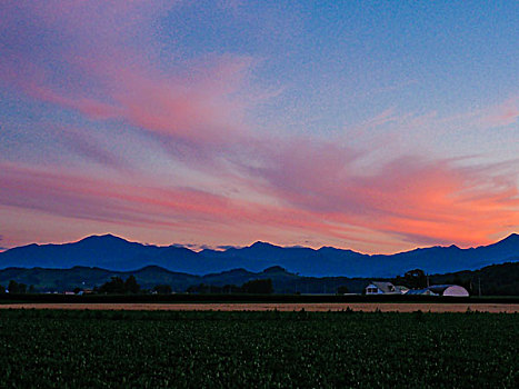 北海道,夏天