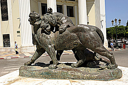 阿尔及利亚,雕塑,狮子