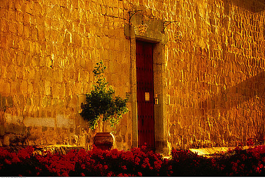花,入口,圣多明各,教堂,瓦哈卡,墨西哥