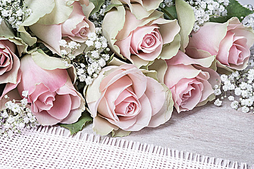 粉色,玫瑰,丝石竹属植物,贺卡,情人节