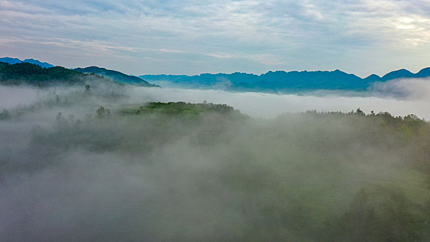 重庆酉阳乡村清晨雾景美如仙界