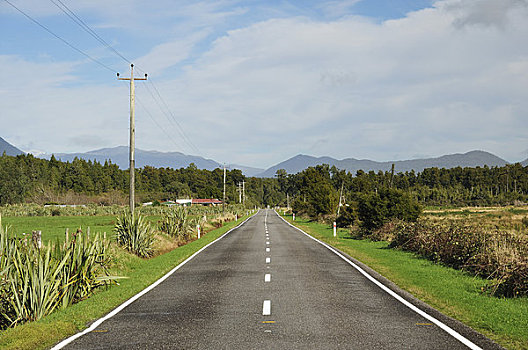 公路,靠近,河,西海岸,南岛,新西兰