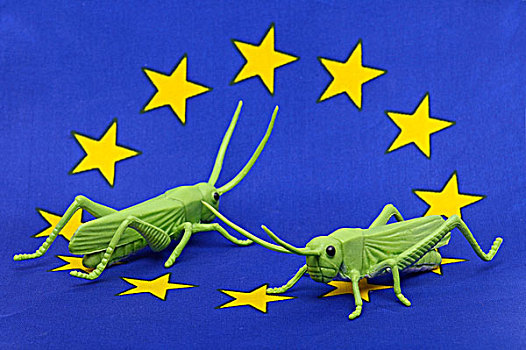 蚱蜢,欧洲,旗帜,象征,图像,欧元,危机