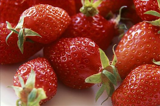 新鲜,草莓,品种