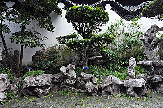 上海城隍庙豫园里的园艺