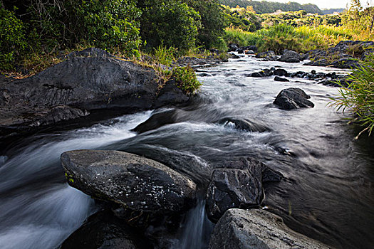 河,流动,上方,石头,留尼汪岛