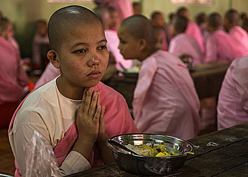 缅甸,仰光,年轻,女僧侣,祈祷,食物