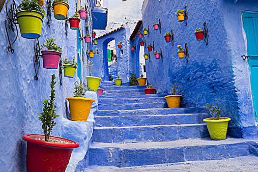 摩洛哥,舍夫沙万,沙温,小,狭窄,街道,涂绘,品种,鲜明,蓝色,彩色,种植,罐,线条,走廊