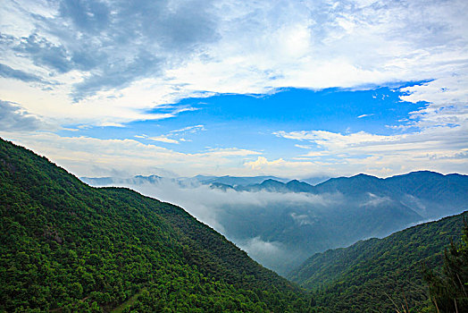 山,树林,雾气,云海,氤氲,绿色,树木,乡村