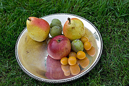 季节,静物,种类,秋天,水果,银,盘子