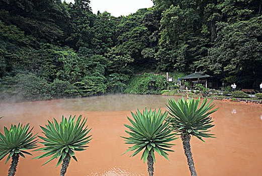 日本九州大分县血池地狱,chinoikejigokubloodpondhell