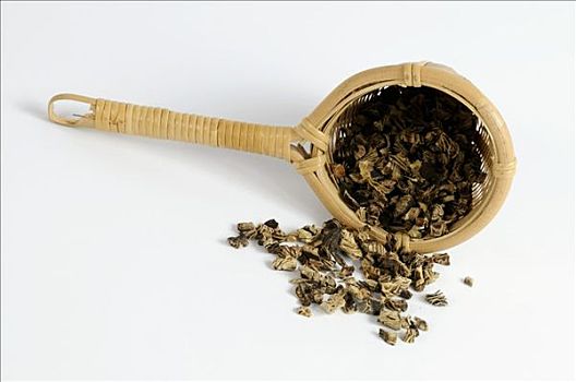 干燥,根,滤茶器