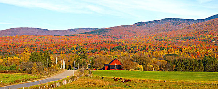 房子,正面,风景,秋天,树,萨顿,魁北克,加拿大