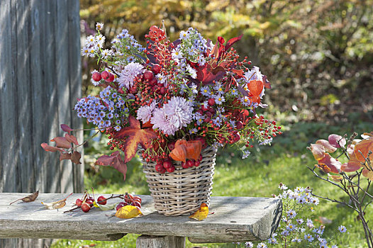 秋季花束,多年生植物,水果,篮子,花瓶