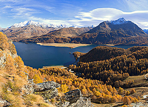全景,彩色,木头,湖,秋天,恩格达恩,瑞士,欧洲
