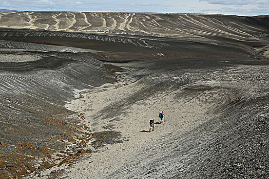 冰岛,火山岩,荒芜,两个,孤单,远足